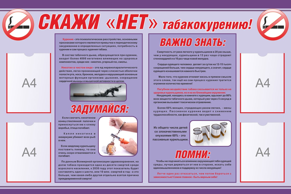 Баннеры.