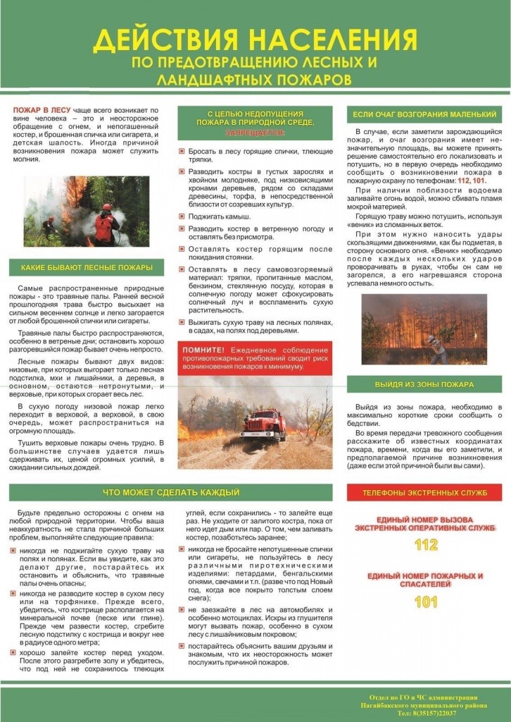 Изображения.